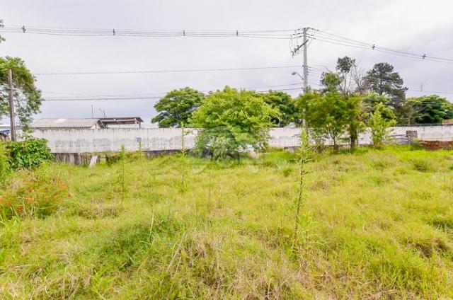 Terreno à venda em Bacacheri, Curitiba cod:142343 - Foto 10