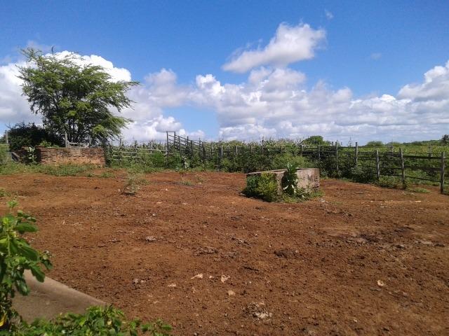 Fazenda com 38 há em são pedro do potengi, casa, curral, barreiro, rio potengi - Foto 11