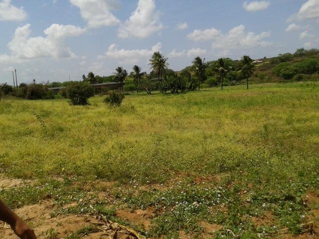 Fazenda com 62 há na br 304, com rio potengi, casa, deposito - Foto 4