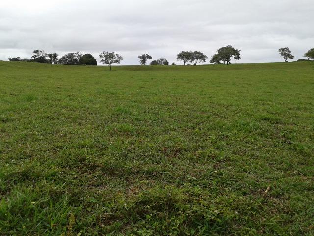 Fazenda com 63 há em brejinho, 10 barreiros, curral - Foto 13