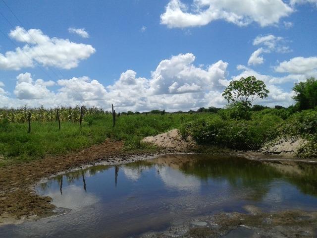 Fazenda com 38 há em são pedro do potengi, casa, curral, barreiro, rio potengi - Foto 6