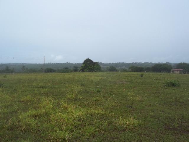 Fazenda com 110 há a 20 km de macaíba, 4 casas, 3 poços, riacho, barreiro - Foto 4