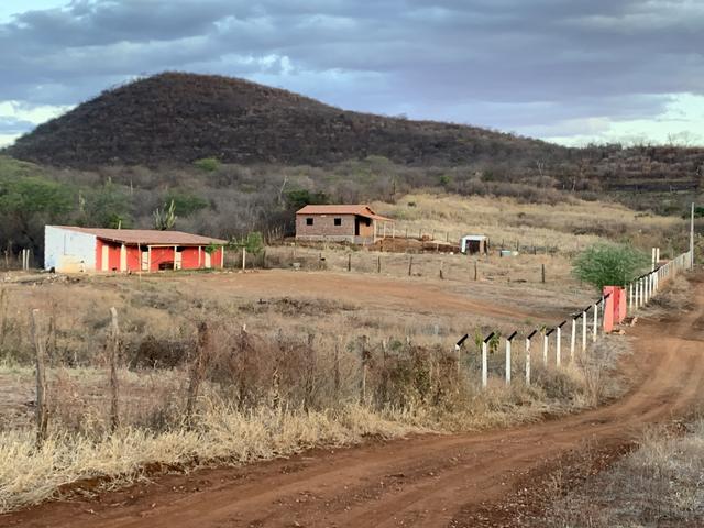 Chácara e baias para cavalos - Foto 2