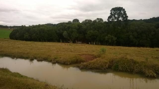 Sítio em Lagoa Vermelha RS - Foto 2