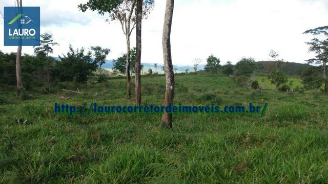 Terra em Catuji/MG com 7,5 alqueires - Foto 4