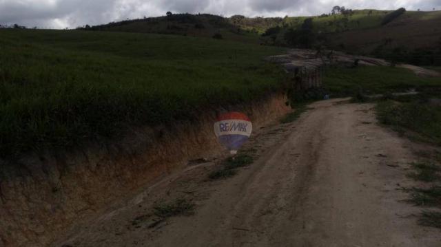 Fazenda com 4 dormitórios à venda, 800000 m² - zona rural - gravatá/pe - Foto 39