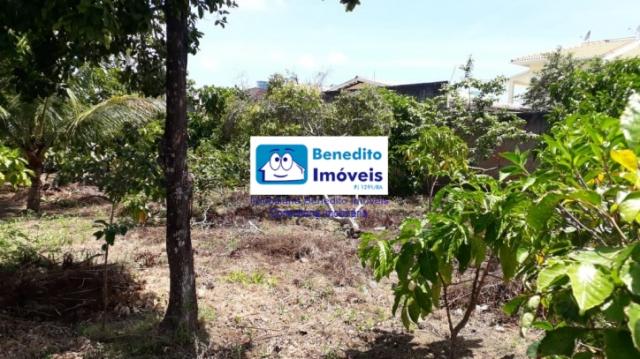 VENDO TERRENO EM PORTO SEGURO, LITORAL BAIANO - Foto 4