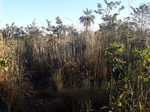 Chácara a 11 km de Acorizal - Foto 16