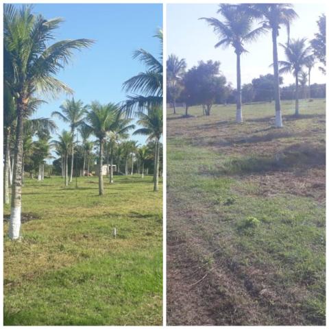 G Cód 138 Imperdível Promoção, lotes prontos para construir, só 15 mil à vista!!!! - Foto 2