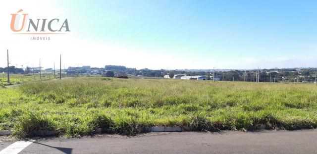 Terreno à venda de Esquina, 393 m² por R$ 80.000 - Residencial Campestre - Paranavaí/Paran - Foto 4