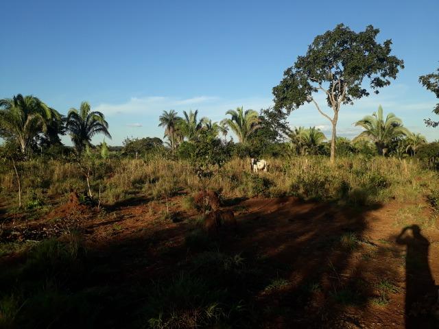Chácara a 11 km de Acorizal - Foto 11