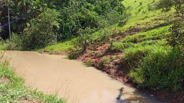Chácara 2 Alqueires Formada 9 Km Asfalto Corumbá Goiás - Foto 17
