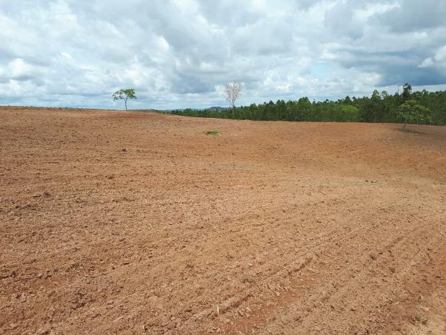 Excelente fazenda em Presidente Olegário/MG- oportunidade - Foto 10