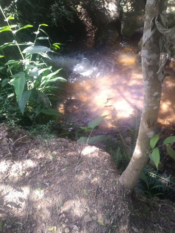 Torro Linda chacara em Agudos do Sul - Foto 3