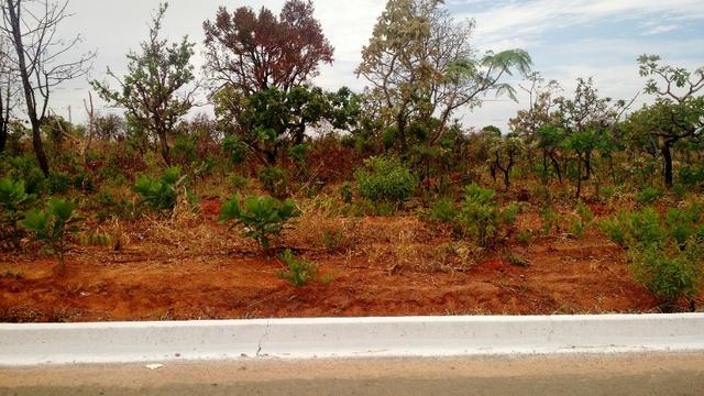 Lote a venda localizado no loteamento Lagoa Golden Park em Caldas Novas GO - Foto 10