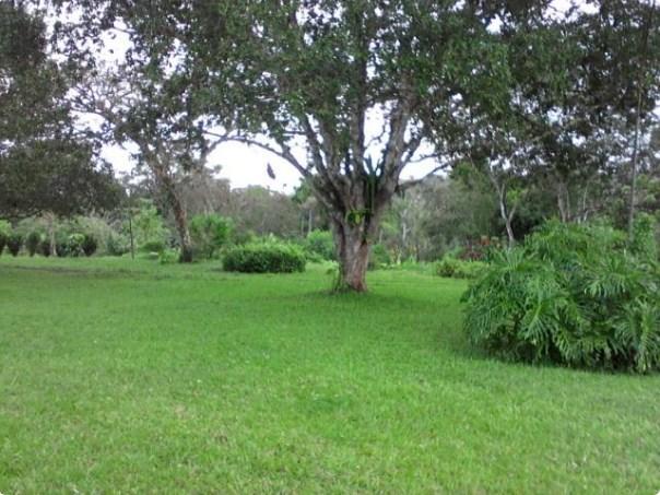 Fazenda à venda, 4190000 m² por R$ 5.600.000,00 - Cidade Nova - Ilhéus/BA - Foto 11