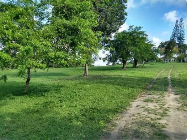 Fazenda à venda, 4190000 m² por R$ 5.600.000,00 - Cidade Nova - Ilhéus/BA - Foto 5