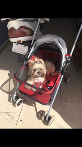 Carrinho pet