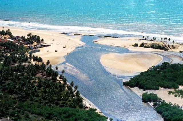 Sítio/ Fazenda no Conde de 33 tarefas com sede rio e lagoa na Linha Verde/ Litoral Norte - Foto 5
