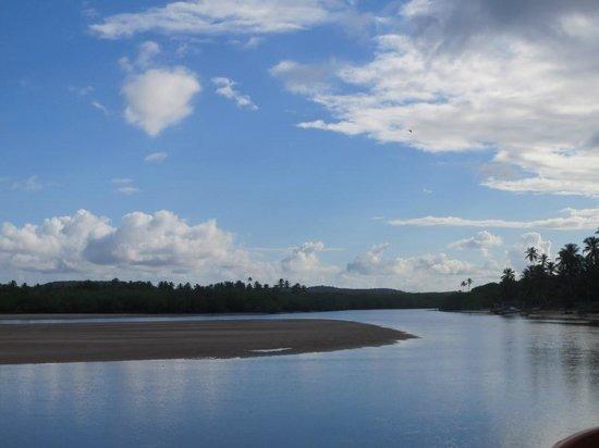 Sítio/ Fazenda no Conde de 33 tarefas com sede rio e lagoa na Linha Verde/ Litoral Norte - Foto 6