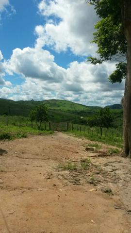 Fazenda Ipiaú vale do Gongoji de 1.150ha com estrutura e sede. Oportunidade - Foto 2