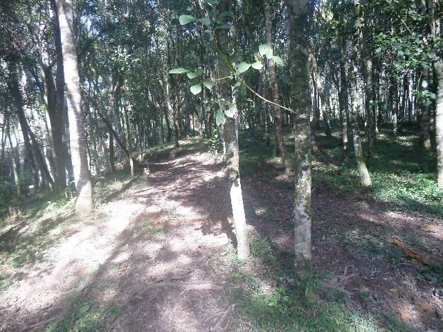 Chácara 32247 m², bem cuidada - Foto 18