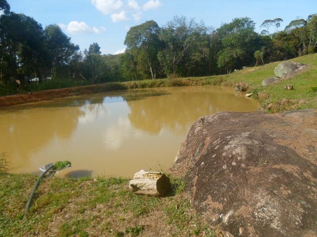Chácara 32247 m², bem cuidada - Foto 2