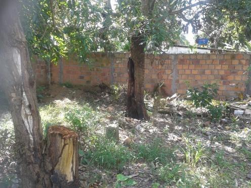 Terreno em humildes - Foto 2