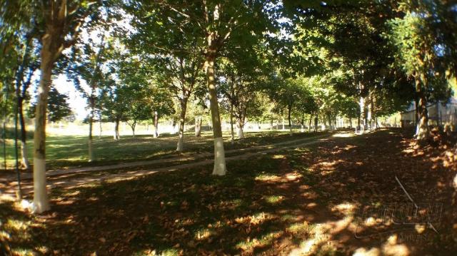 Chácara à venda em Sitio nono zonta, Passo fundo cod:8465 - Foto 5