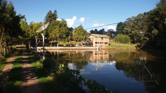 Chácara à venda em Sitio nono zonta, Passo fundo cod:8465 - Foto 10