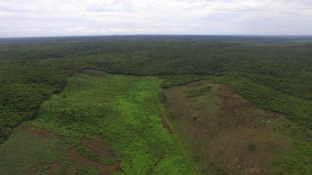 Fazenda em Piracuruca-PI - Foto 11
