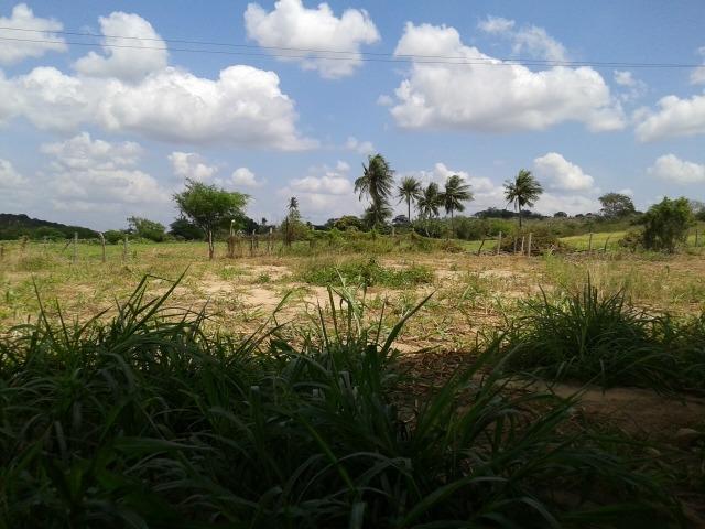 Fazenda com 62 há na br 304, com rio potengi, casa, deposito - Foto 5