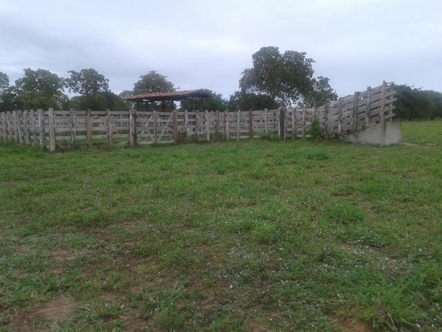 Fazenda com 63 há em brejinho, 10 barreiros, curral - Foto 12