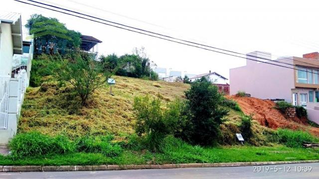 Terreno, Protásio Alves, Porto Alegre-RS
