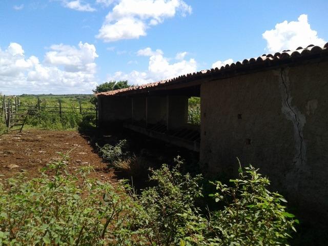 Fazenda com 38 há em são pedro do potengi, casa, curral, barreiro, rio potengi - Foto 7