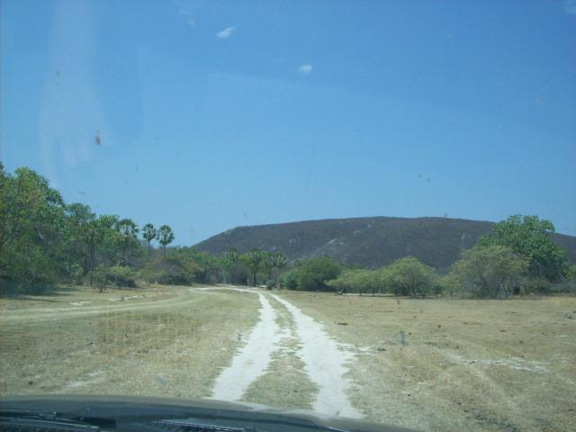 Fazenda com 6.000Ha à margem do Rio Preto! Em Mansidão BA. A 60km de Santa R. de Cassia - Foto 2