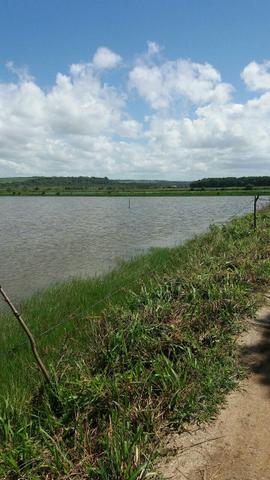 Fazenda de camarão - Foto 2