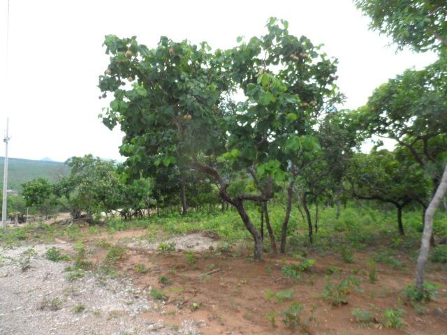 Fazenda na Estrada do Manso 45 Km, de Cuiabá - Foto 3