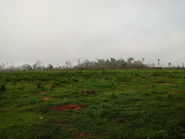 Vendo Fazenda em Novo Prigresso/PA - Foto 20
