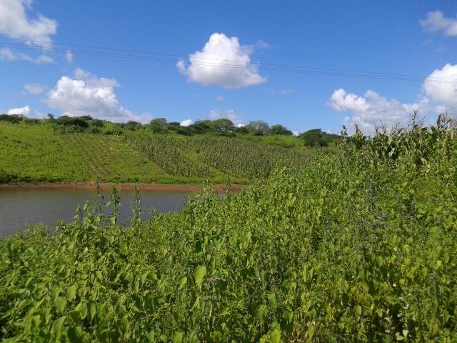 Fazenda com 38 há em são pedro do potengi, casa, curral, barreiro, rio potengi - Foto 19