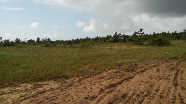 Sitio na Linha Verde (Cidade do Conde) Próximo a rios) - Foto 3