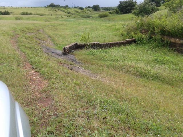 Fazenda com 63 há em brejinho, 10 barreiros, curral - Foto 14