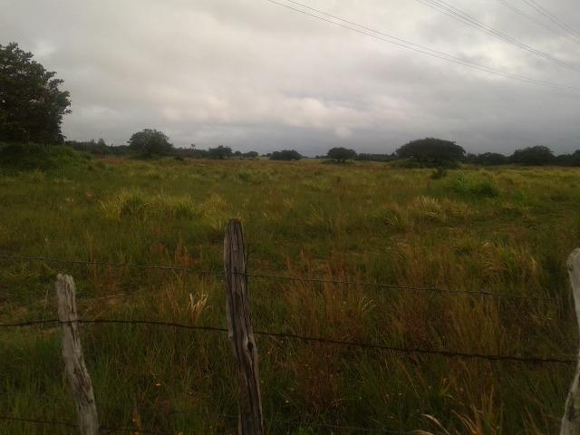 Fazenda com 110 há a 20 km de macaíba, 4 casas, 3 poços, riacho, barreiro - Foto 20