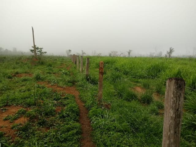 Vendo Fazenda em Novo Prigresso/PA - Foto 7
