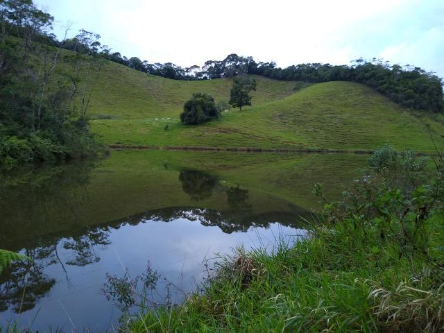 Fazenda Viana 20 alqueires - Foto 14