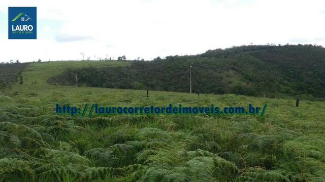 Terra em Catuji/MG com 7,5 alqueires - Foto 3