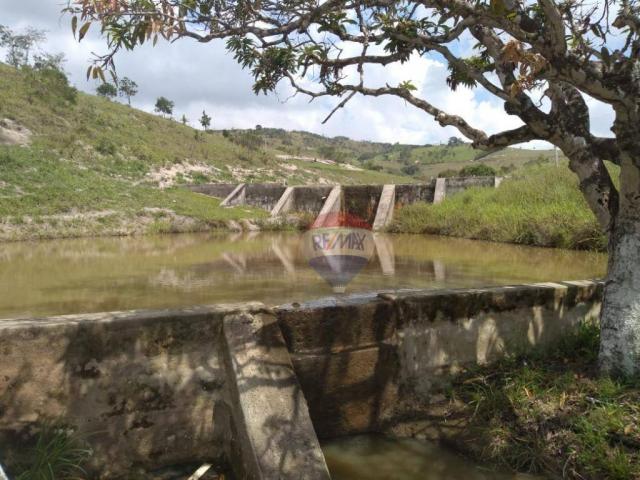 Fazenda com 4 dormitórios à venda, 800000 m² - zona rural - gravatá/pe - Foto 21