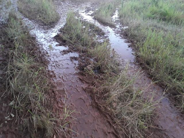 Chácara a 11 km de Acorizal - Foto 9