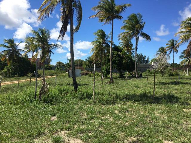 Terreno de 360m2 por R$90mil direto com o proprietário *15 - Foto 4