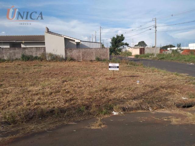 Terreno à venda, 200 m² por R$ 60.000 - Jardim Santos Dumont - Paranavaí/Paraná - Foto 2